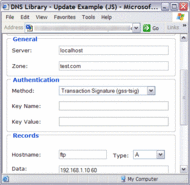 DnsLibrary screenshot